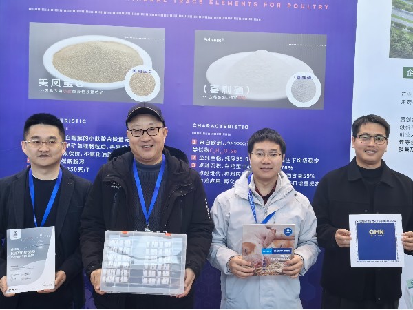 CHELOTAlong8Ψһ⼦ҵ̳