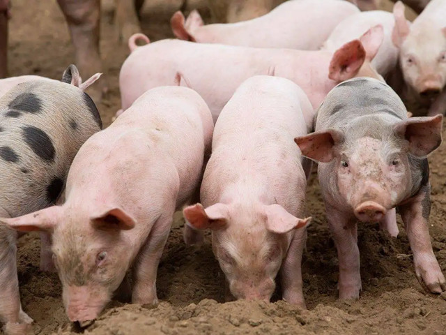 ＾ҪעʲôƺҪһҪĵ