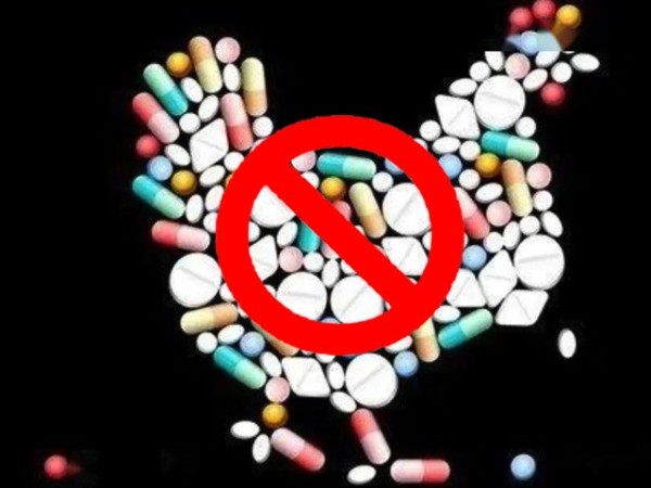 ϲǲΰ룻Żƽ