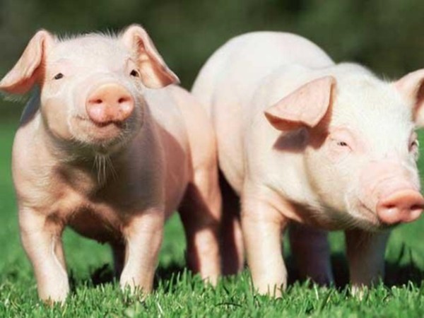 ʰʹʲôôбҪȫ