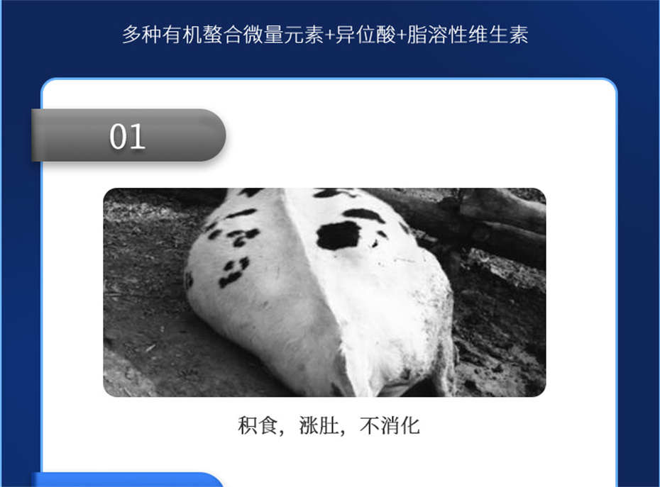 long8ΨһţӼţ׳챦Ʒ