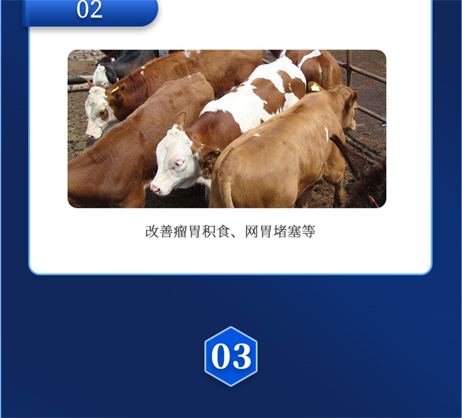 long8ΨһţӼţ׳챦Ʒ