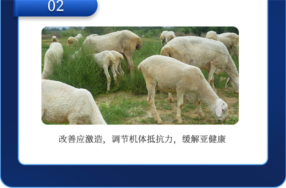 long8ΨһţӼţ׳챦Ʒ