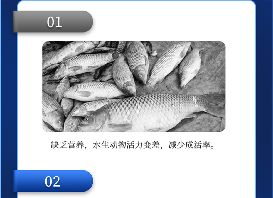 long8ΨһˮӼά1ŲƷ