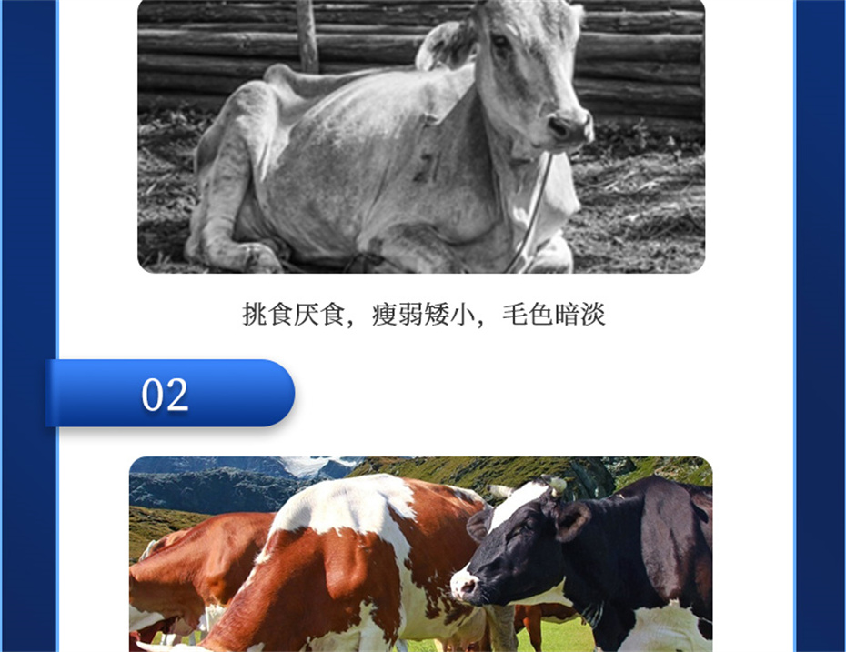 long8ΨһţӼţ׳챦Ʒ