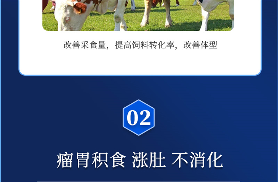 long8ΨһţӼţ׳챦Ʒ