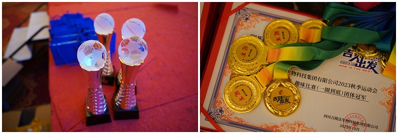 long8Ψһ2023＾˶26곧Ƭ