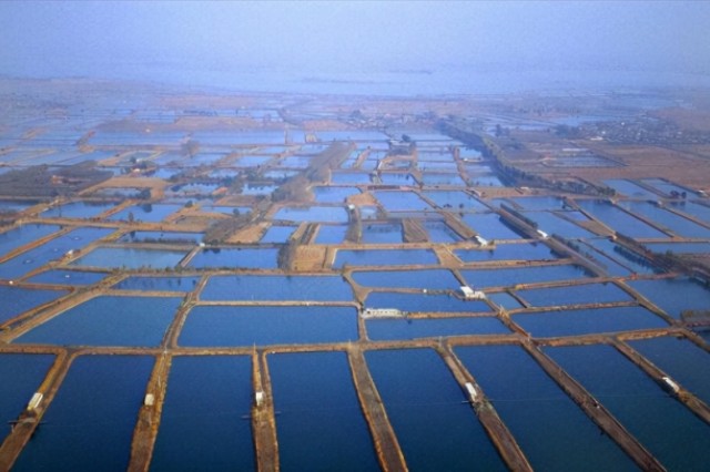 Ϻзֳл΢Ԫغ޻΢ԪǸ