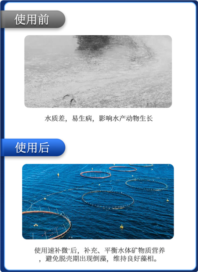 long8Ψһл΢Ԫٲ΢+ϺЧ