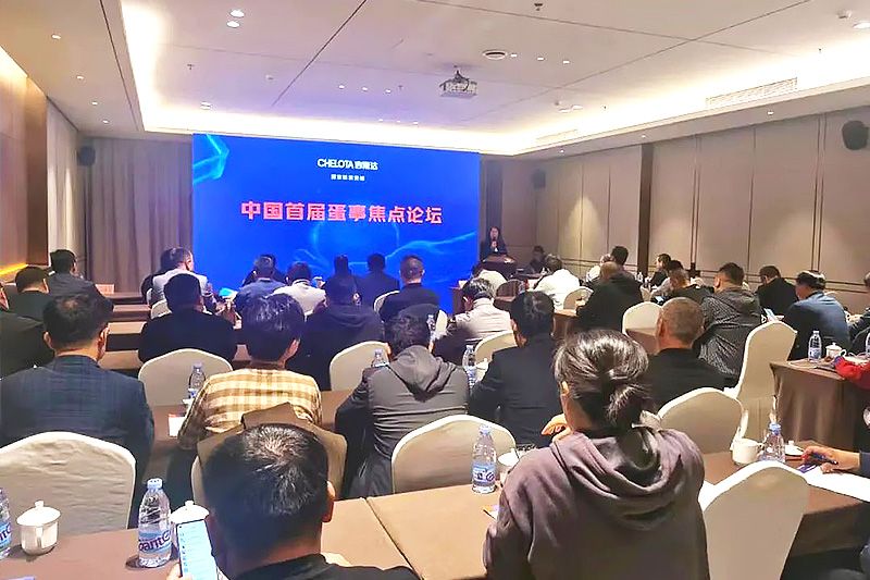 long8Ψһй׽쵰½̳