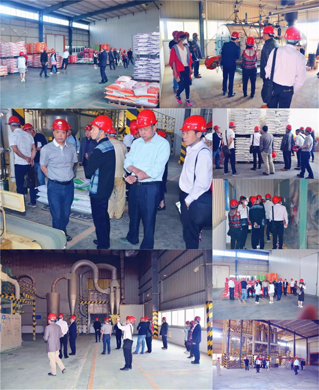 ҵιл΢Ԫسlong8Ψһ