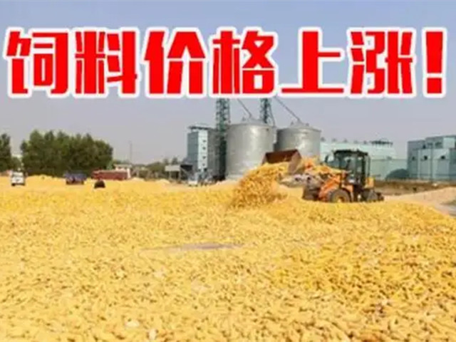 ںϼ۸ٴϳҲп࣡ﶬҪԵø