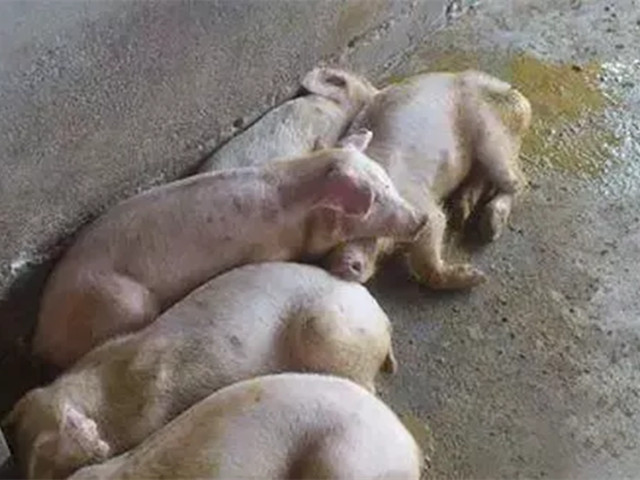 2022궬к֢״ղأ