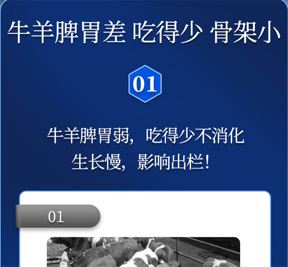 long8ΨһţӼţԪ˧Ʒ