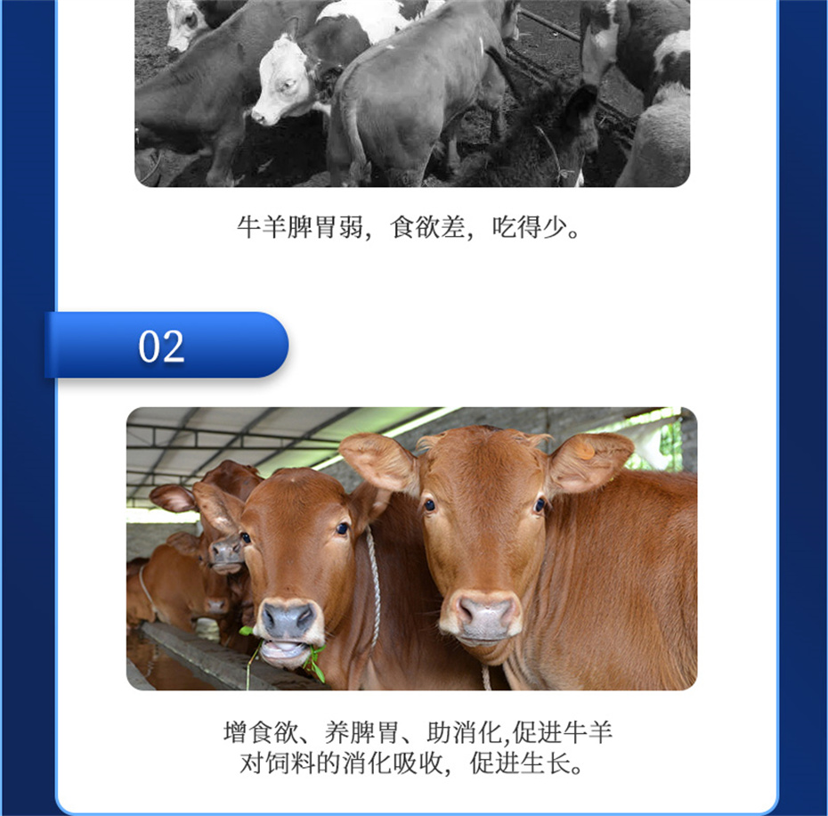 long8ΨһţӼţԪ˧Ʒ