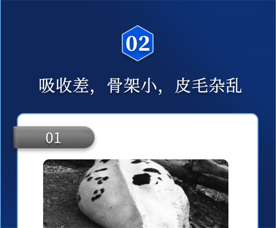 long8ΨһţӼţԪ˧Ʒ