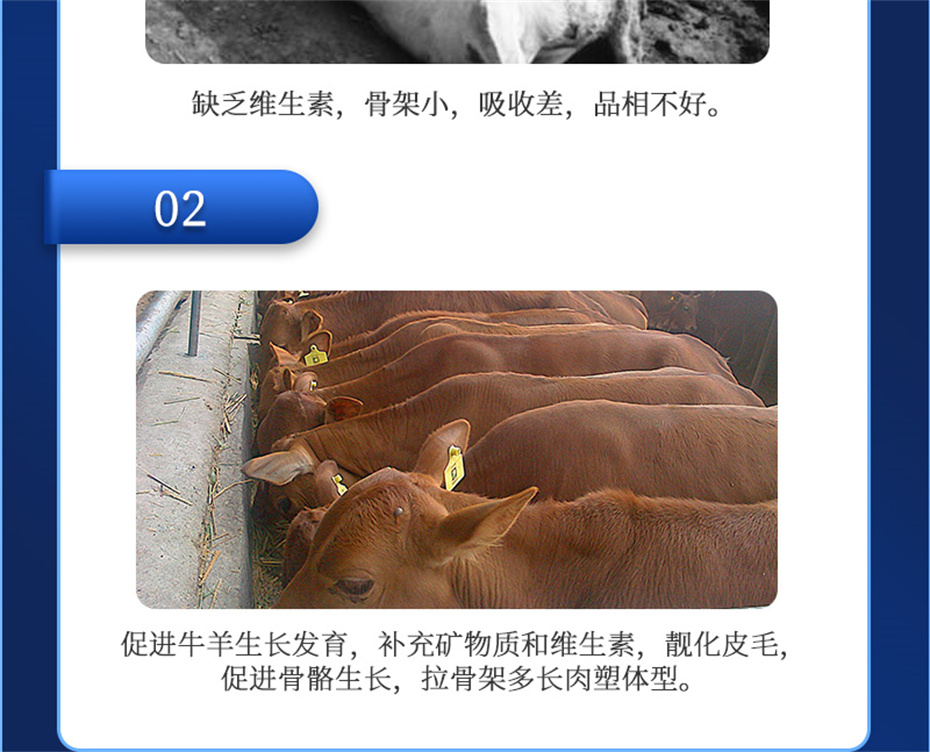 long8ΨһţӼţԪ˧Ʒ