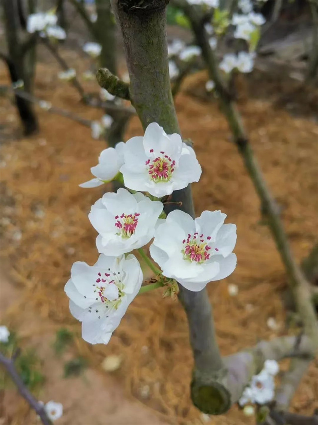 long8ΨһӰƷĶ˲䡷