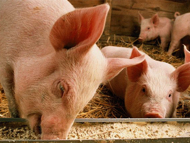 long8Ψһšк+ε