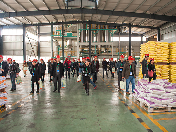 ΢ԪӼϰ˵ǸòƷ