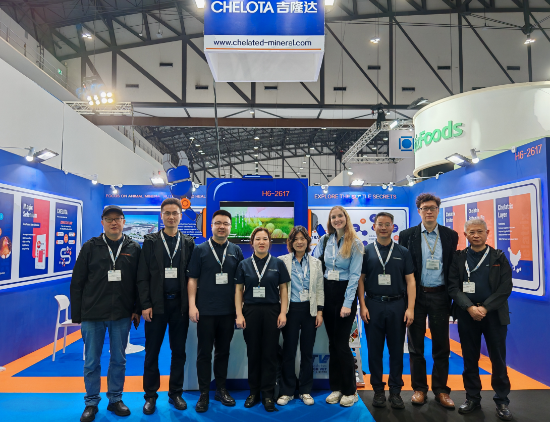 ̩ˣCHELOTAlong8ΨһVIVޣ̩ʼԼչ