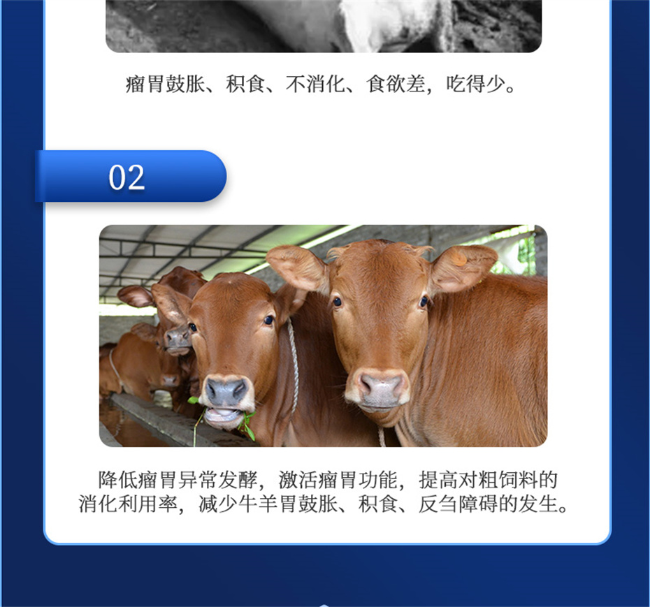 long8ΨһţӼθplusƷ