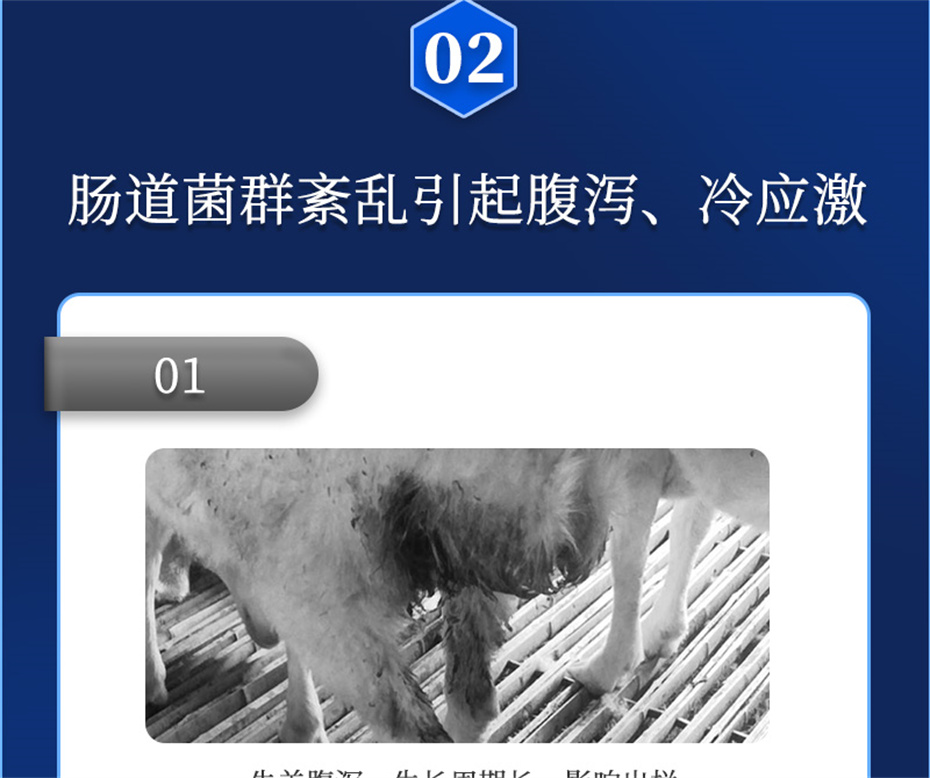 long8ΨһţӼθplusƷ