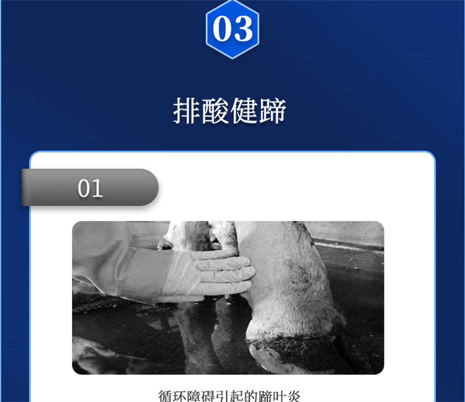 long8ΨһţӼθplusƷ