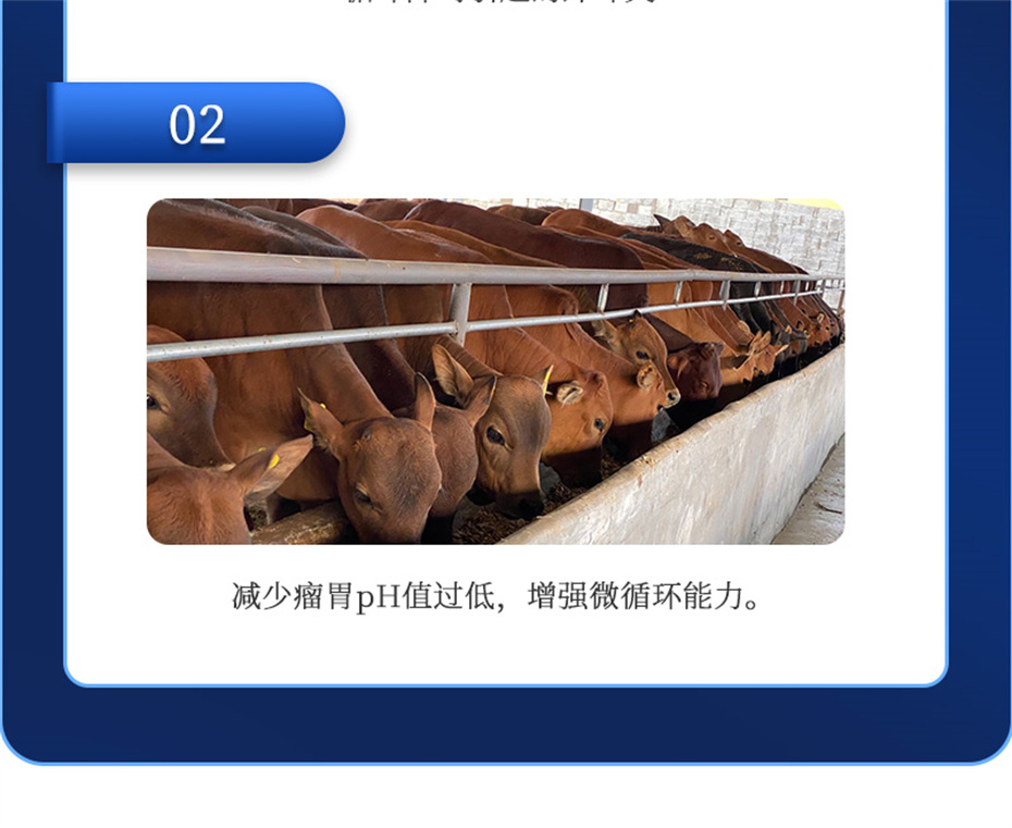 long8ΨһţӼθplusƷ