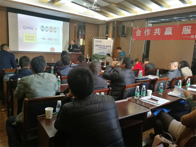 long8ΨһѪӼЧֳͼƬ