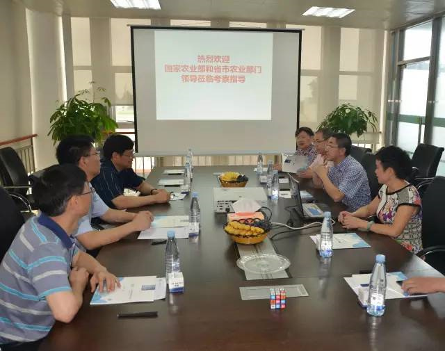 ũҵ쵼ŵlong8ΨһŲιۿ